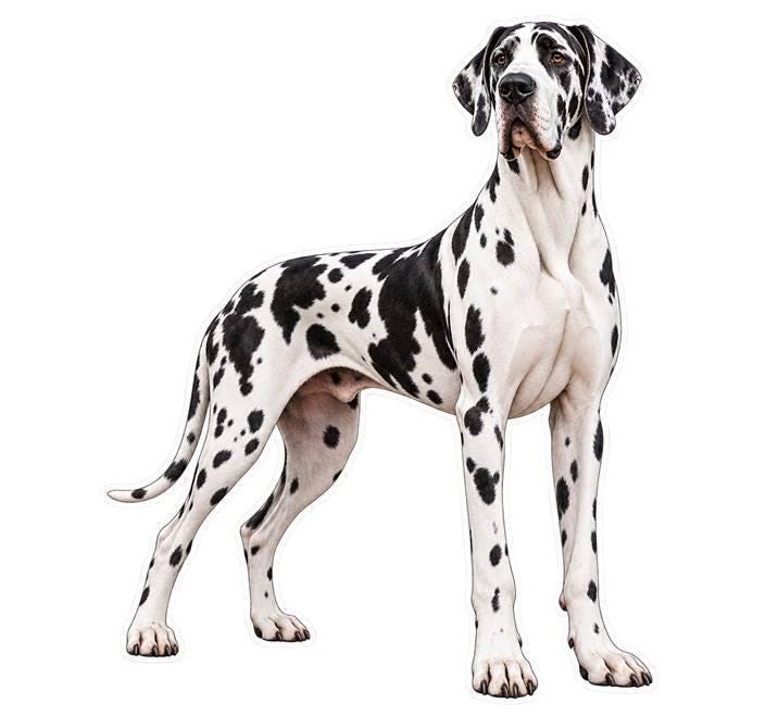 Great Dane Sticker, Great Dane Dog Vinyl Decal, Waterproof Laminated Dog Sticker st 174