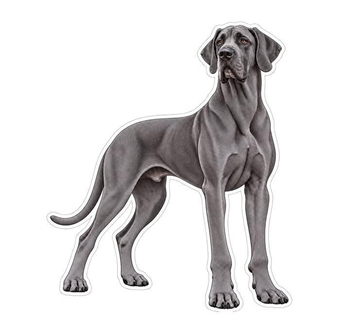 Great Dane Sticker, Great Dane Dog Vinyl Decal, Waterproof Laminated Dog Sticker st 174