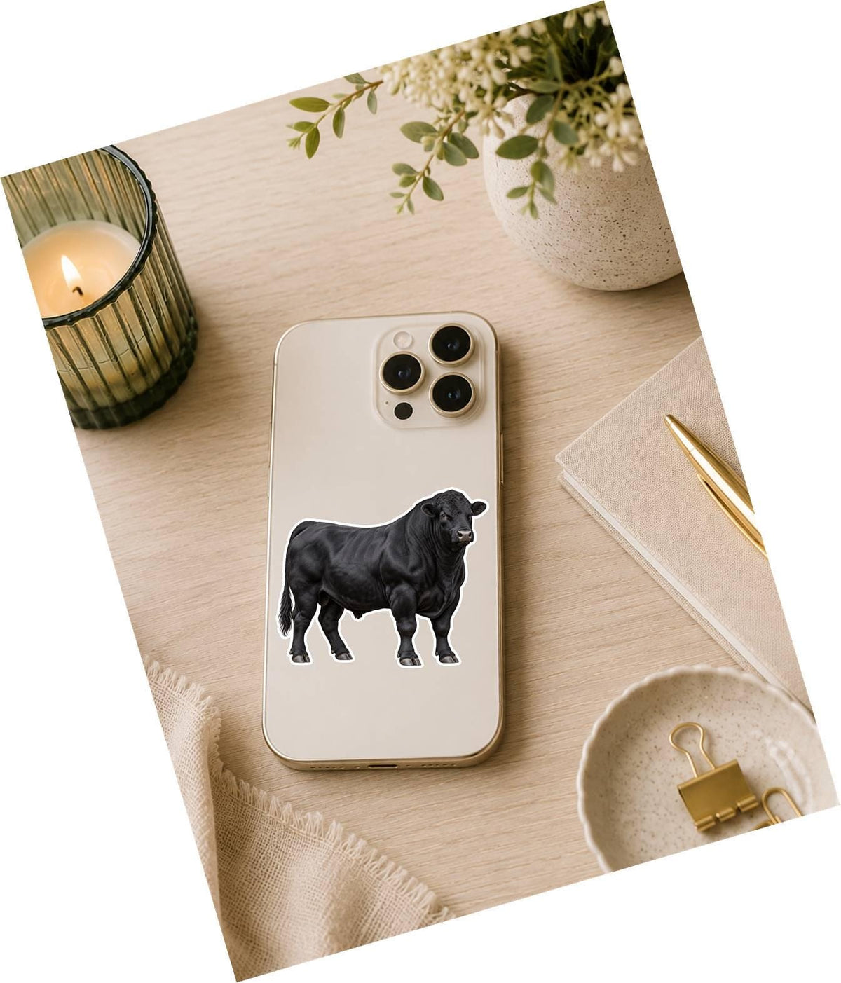 Angus Bull Sticker, Black Angus Cattle Vinyl Decal, Waterproof Cow Sticker st 198