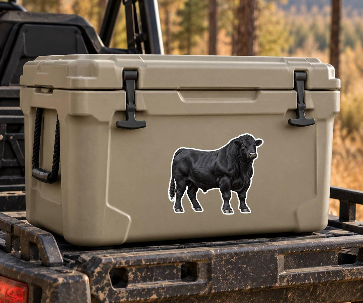 Angus Bull Sticker, Black Angus Cattle Vinyl Decal, Waterproof Cow Sticker st 198