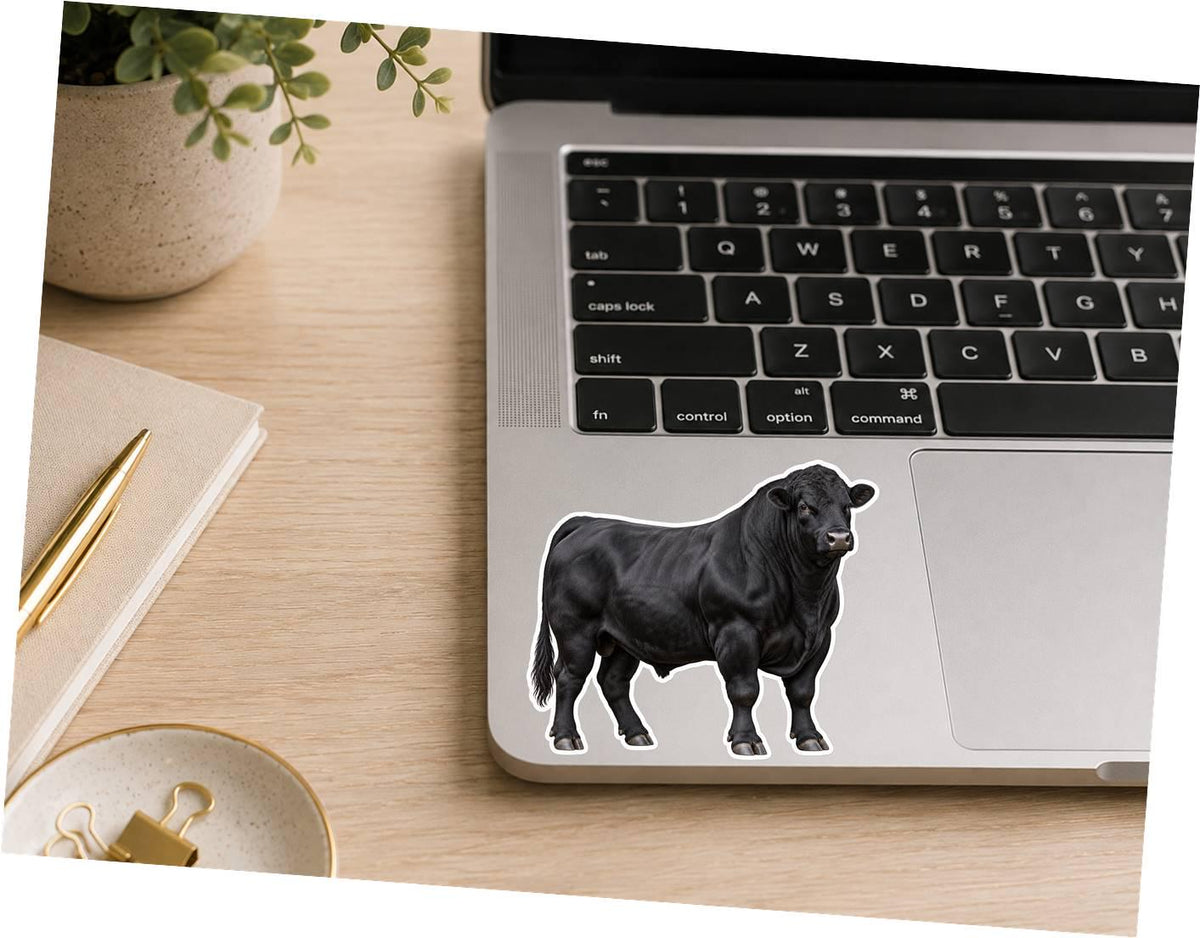 Angus Bull Sticker, Black Angus Cattle Vinyl Decal, Waterproof Cow Sticker st 198