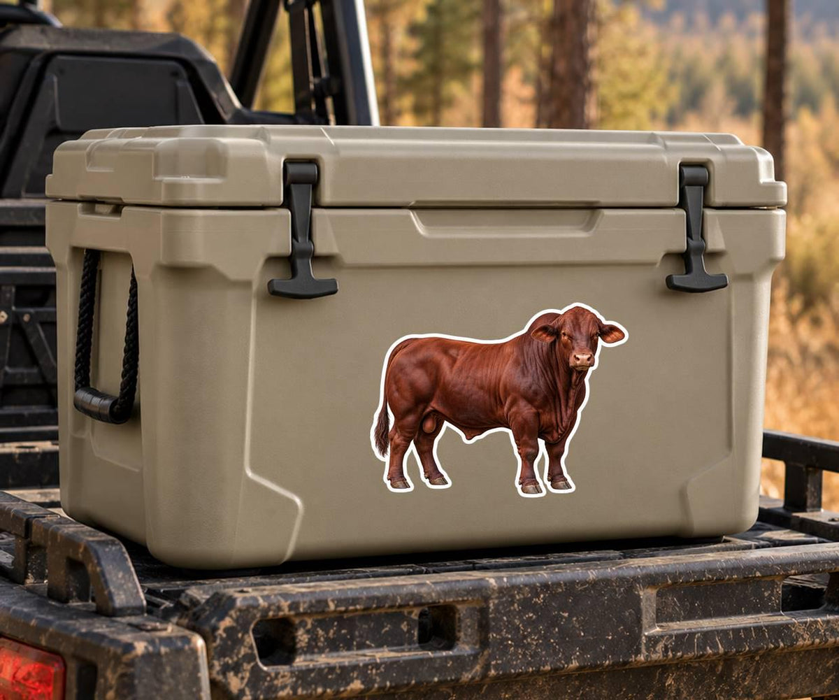 Santa Gertrudis Bull Sticker, Cattle Vinyl Decal, Waterproof Cow Sticker st 199