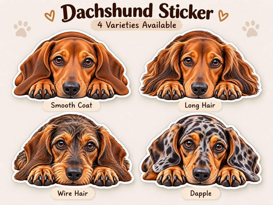Dachshund Sticker, Choose Color, Waterproof Laminated Wiener Dog st 124