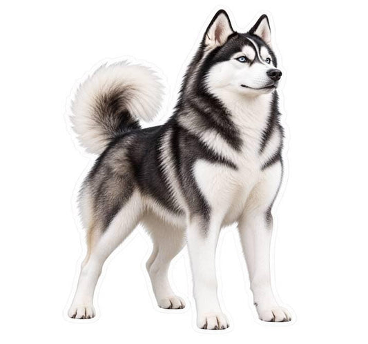 Siberian Husky Sticker, Husky Dog Vinyl Decal, Waterproof Laminated Dog Sticker ST 172