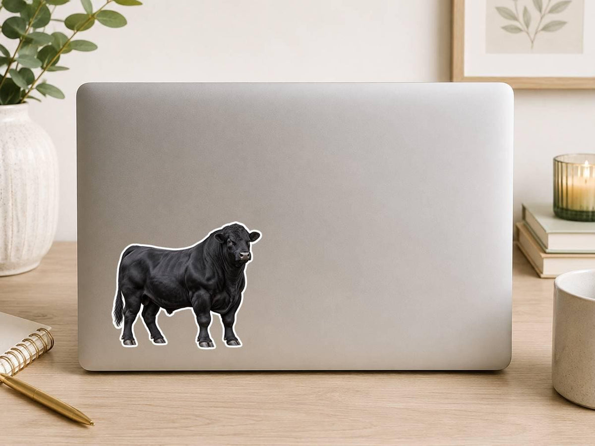 Angus Bull Sticker, Black Angus Cattle Vinyl Decal, Waterproof Cow Sticker st 198
