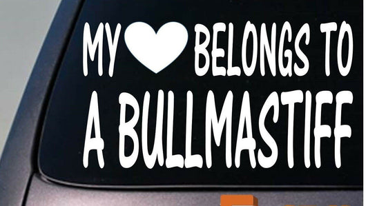 My Heart Belongs to a Bullmastiff Vinyl Decal