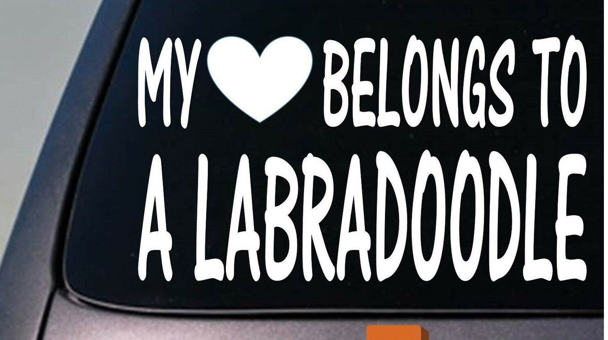 My Heart Belongs to a Labradoodle Vinyl Decal