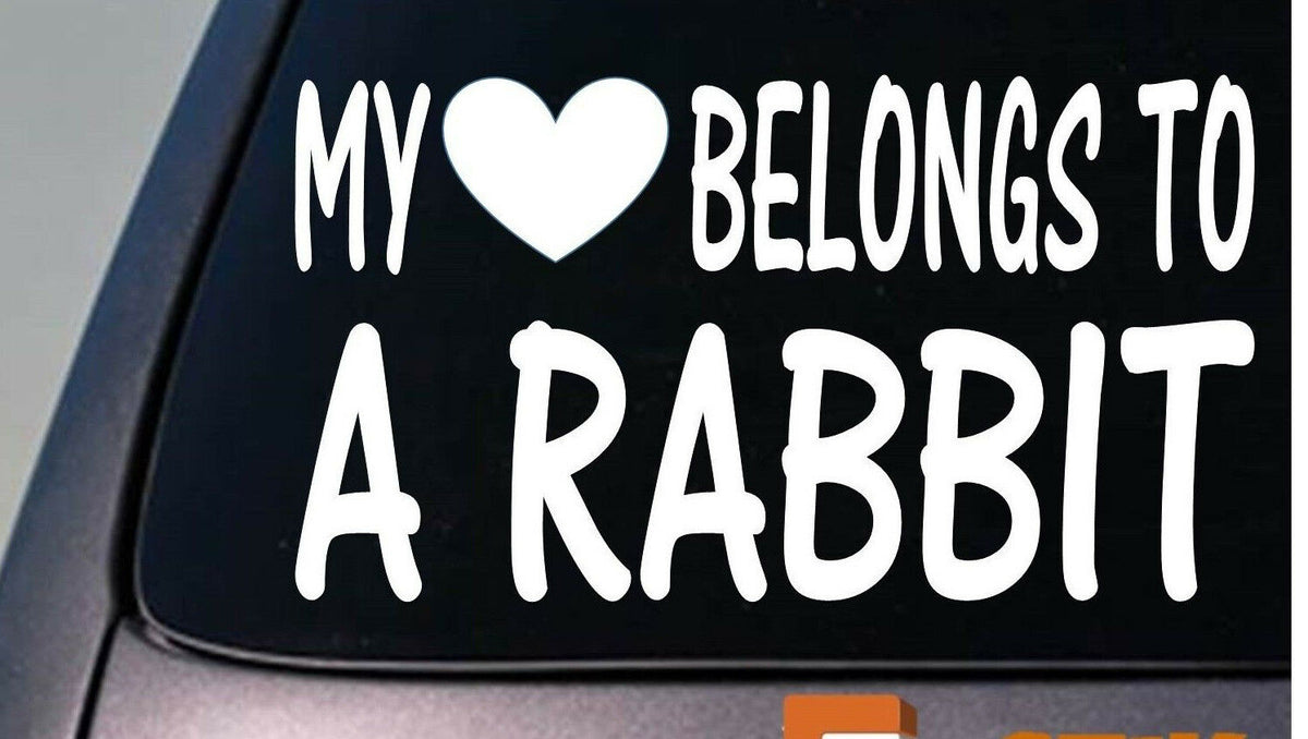 My Heart Belongs to a Rabbit Vinyl Decal