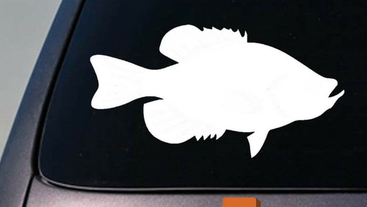 Crappie Vinyl Decal – 6 Inch