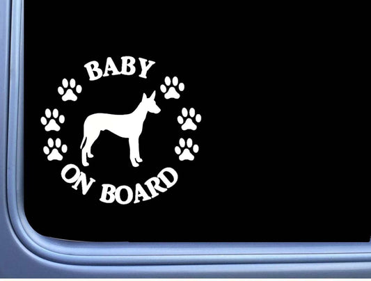 Baby on Board Pharaoh Dog Vinyl Decal – 6 Inch