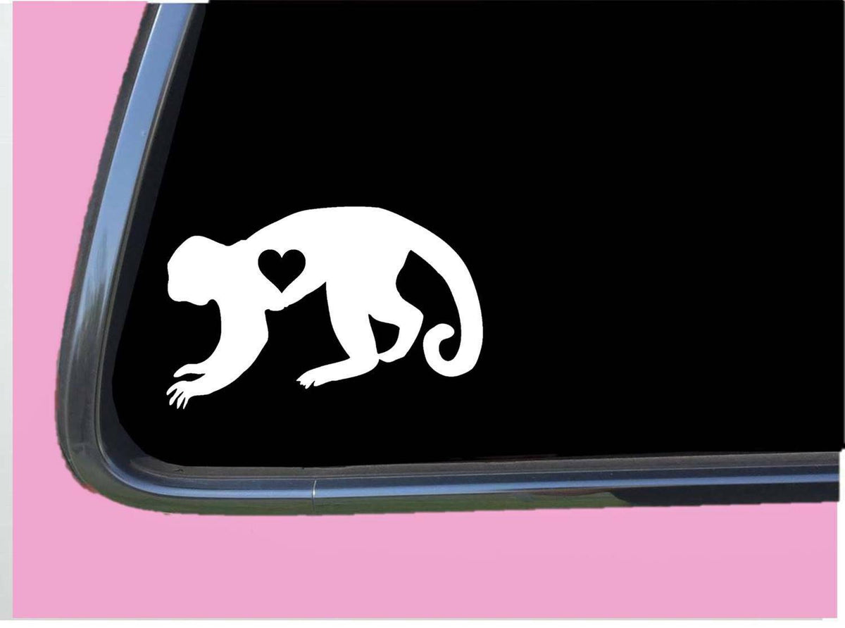 Capuchin Monkey Lil Heart Vinyl Decal – 6 Inch