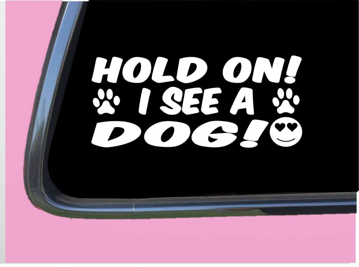 Hold On, I See a Dog Vinyl Decal – 8 Inch