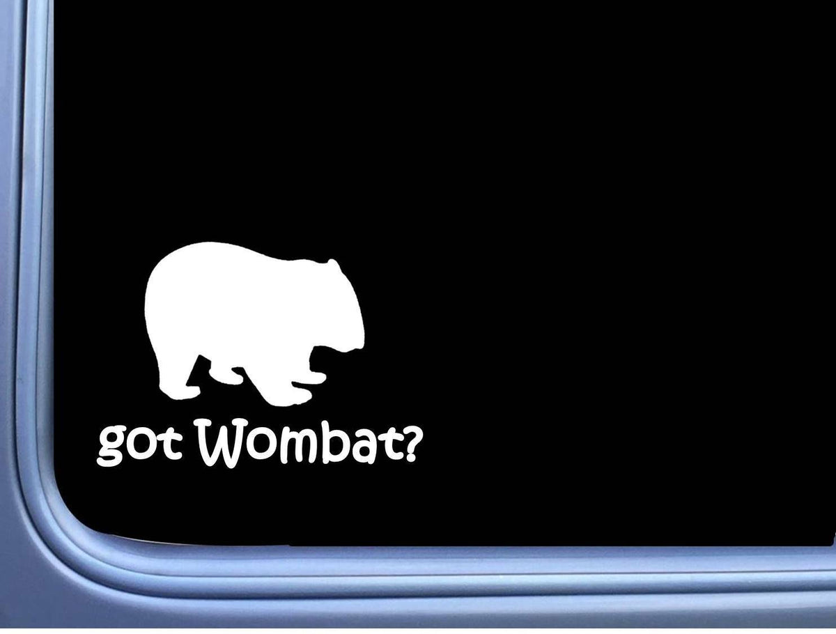 Got Wombat Vinyl Decal – 6 Inch