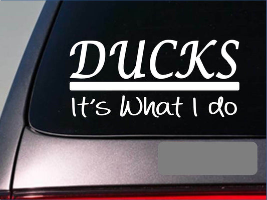Ducks Vinyl Decal