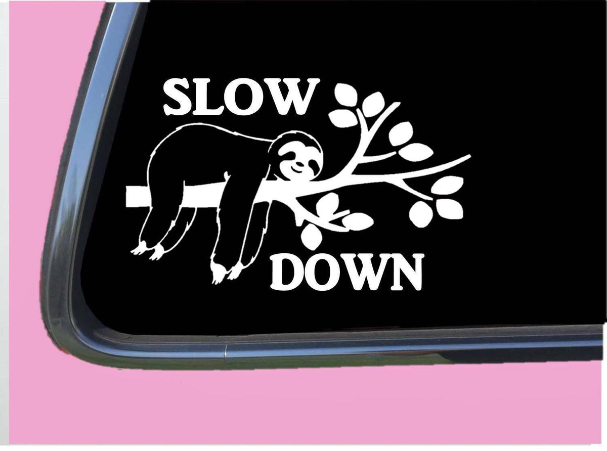Slow Down Sloth Vinyl Decal – 8 Inch