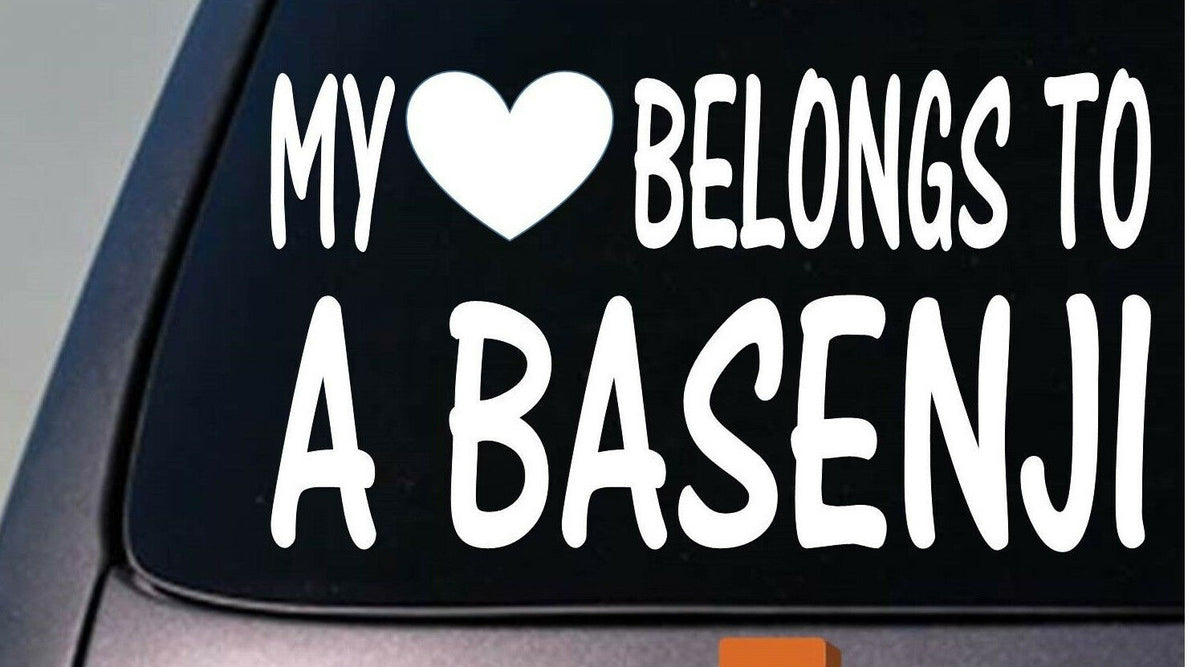My Heart Belongs to a Basenji Vinyl Decal
