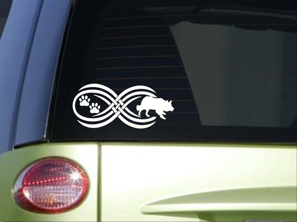 Tribal Border Collie Infinity Sitcker Wide Vinyl Decal – 8.5 Inch