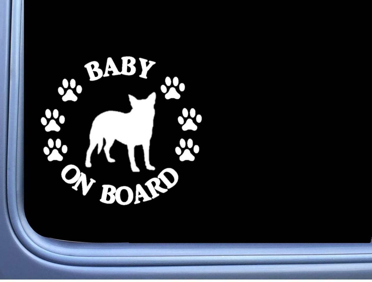 Baby on Board Aucado Healer Vinyl Decal – 6 Inch