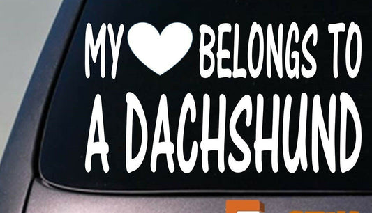 My Heart Belongs to a Dachshund Vinyl Decal