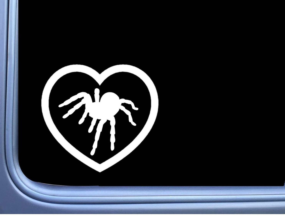 Tarantula Big Heart Vinyl Decal – 6 Inch