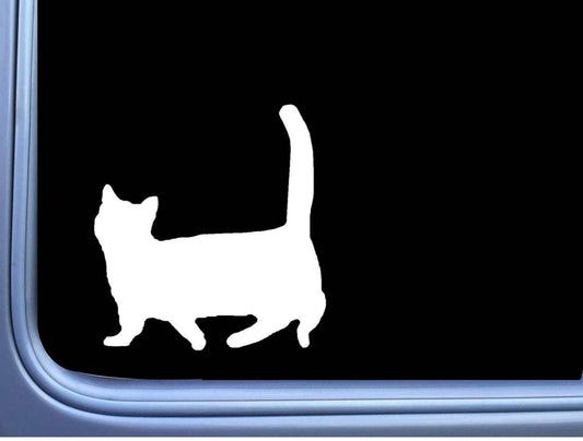 Munchkin Cat Plain Vinyl Decal – 6 Inch