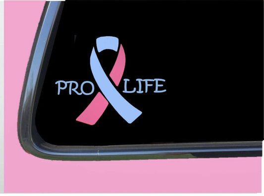 Pro Life Vinyl Decal – 6 Inch