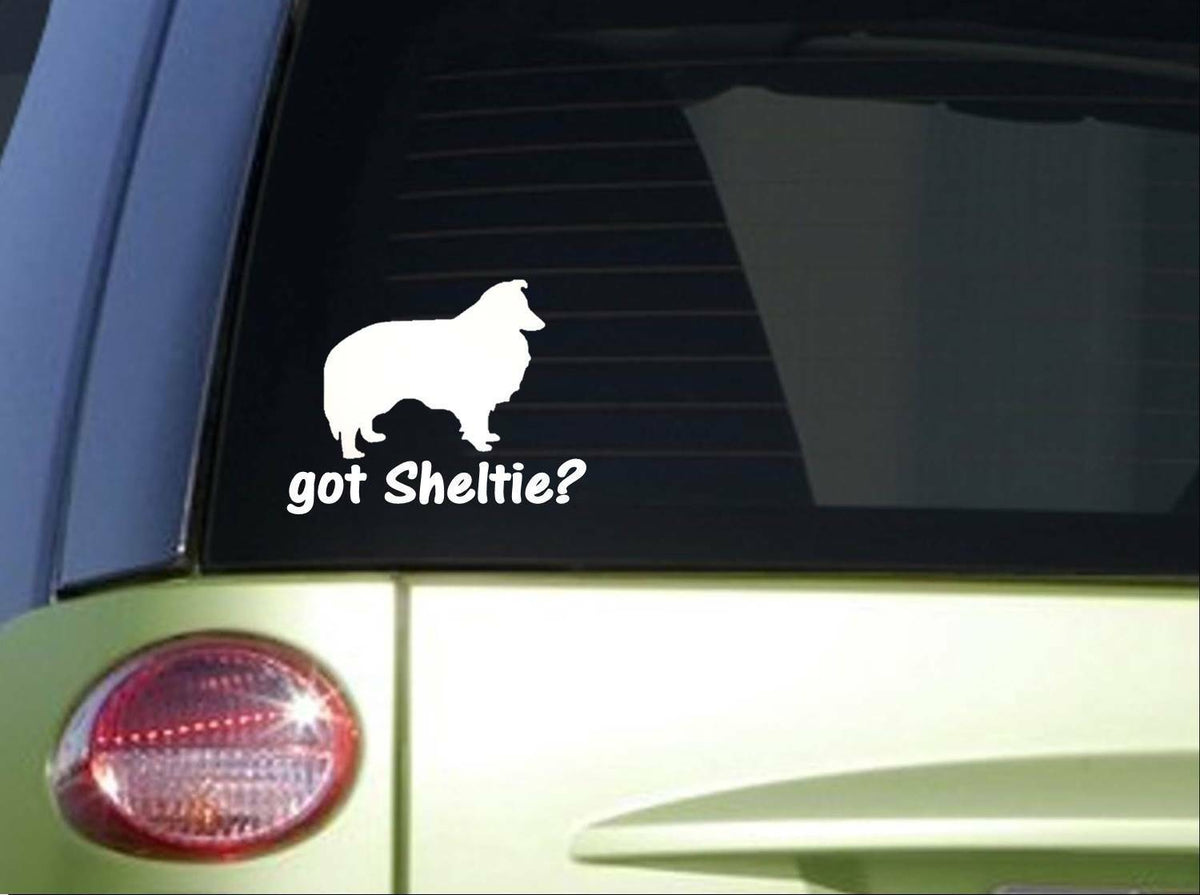 Got Sheltie Inch Vinyl Decal – 6 Inch