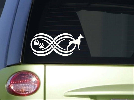 Tribal Doberman Infinity Sitcker Wide Doberman Pinscher Vinyl Decal – 8.5 Inch