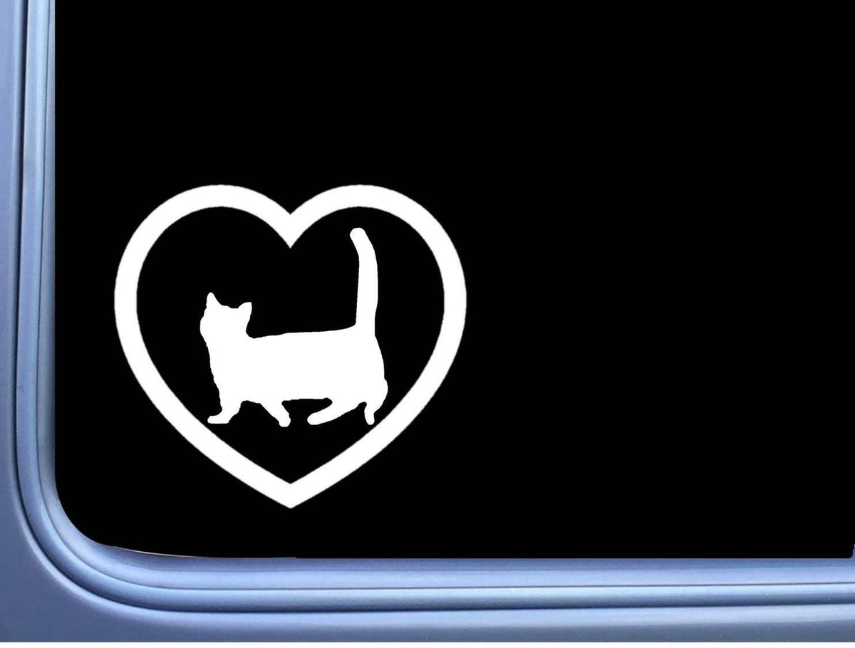 Munchkin Cat Big Heart Vinyl Decal – 6 Inch