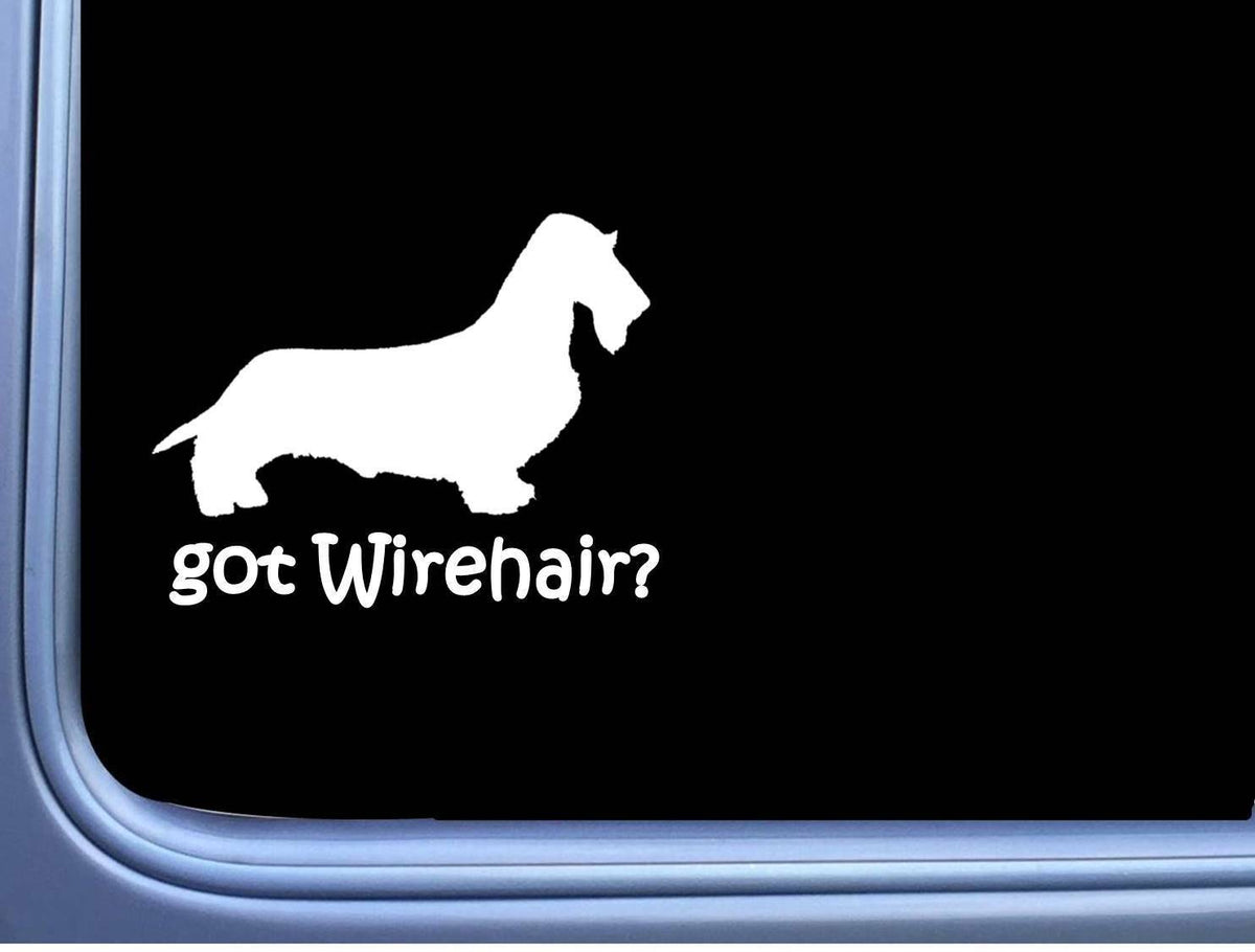 Got Wirehaired Dachshund Vinyl Decal – 8 Inch