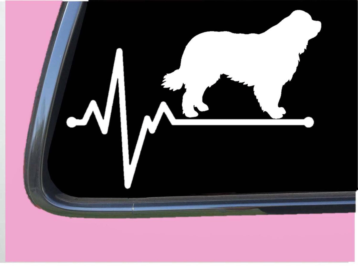 Newfoundland Lifeline Vinyl Decal – 8 Inch
