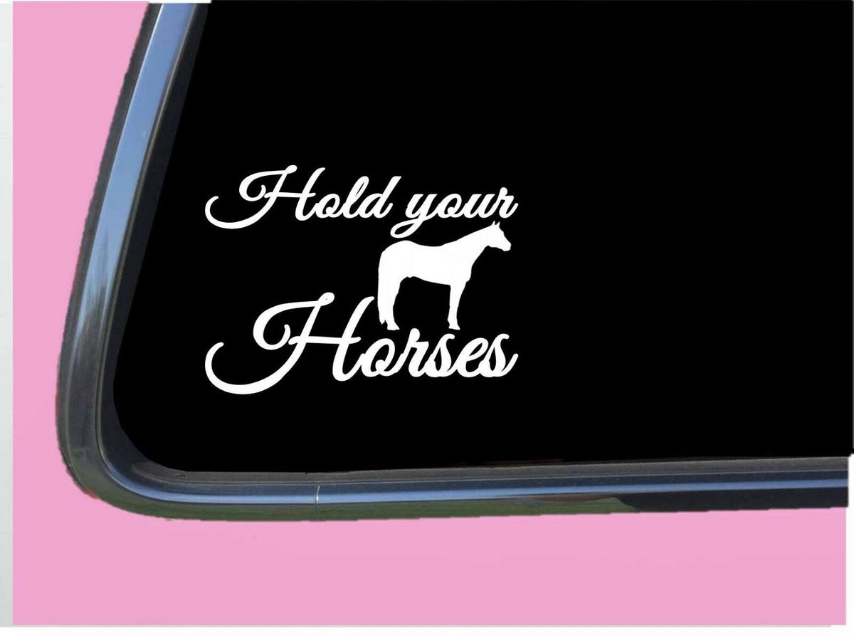 Hold Your Horses Vinyl Decal – 6 Inch
