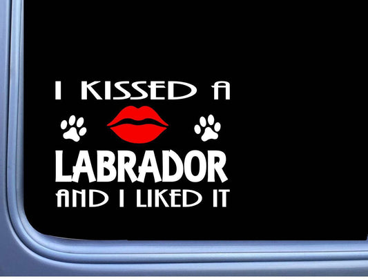 Labrador Kissed Dog Vinyl Decal – 8 Inch