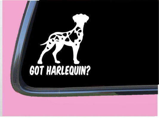 Got Harlequin Great Dane Uncropped Vinyl Decal – 6 Inch