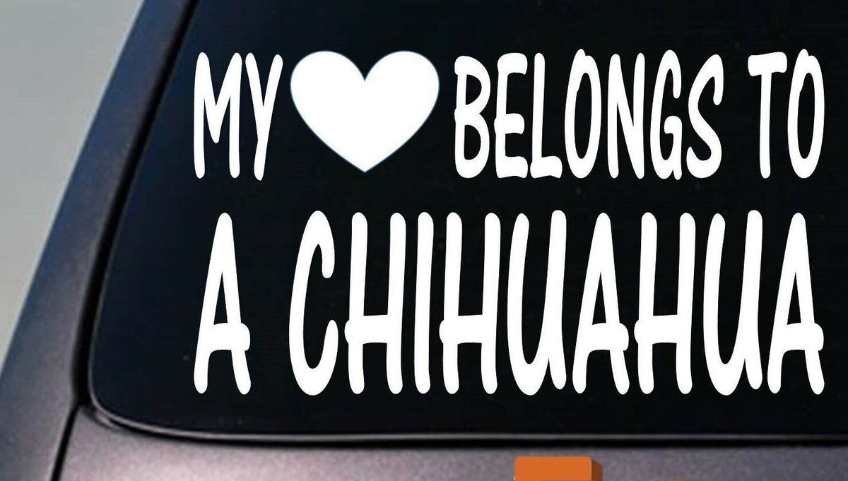 My Heart Belongs to a Chihuahua Vinyl Decal