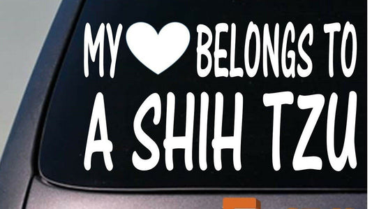 My Heart Belongs to a Shih Tzu Vinyl Decal