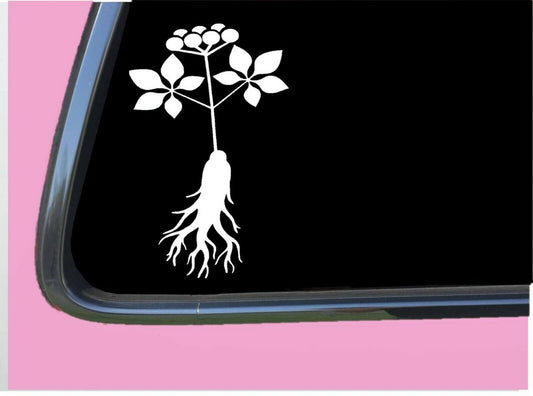 Ginseng Vinyl Decal – 6 Inch
