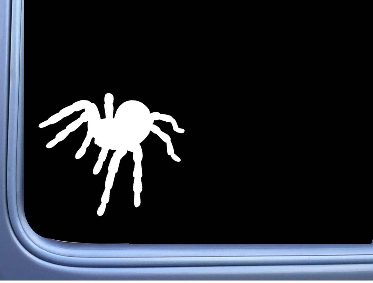 Tarantula Silhouette Vinyl Decal – 6 Inch