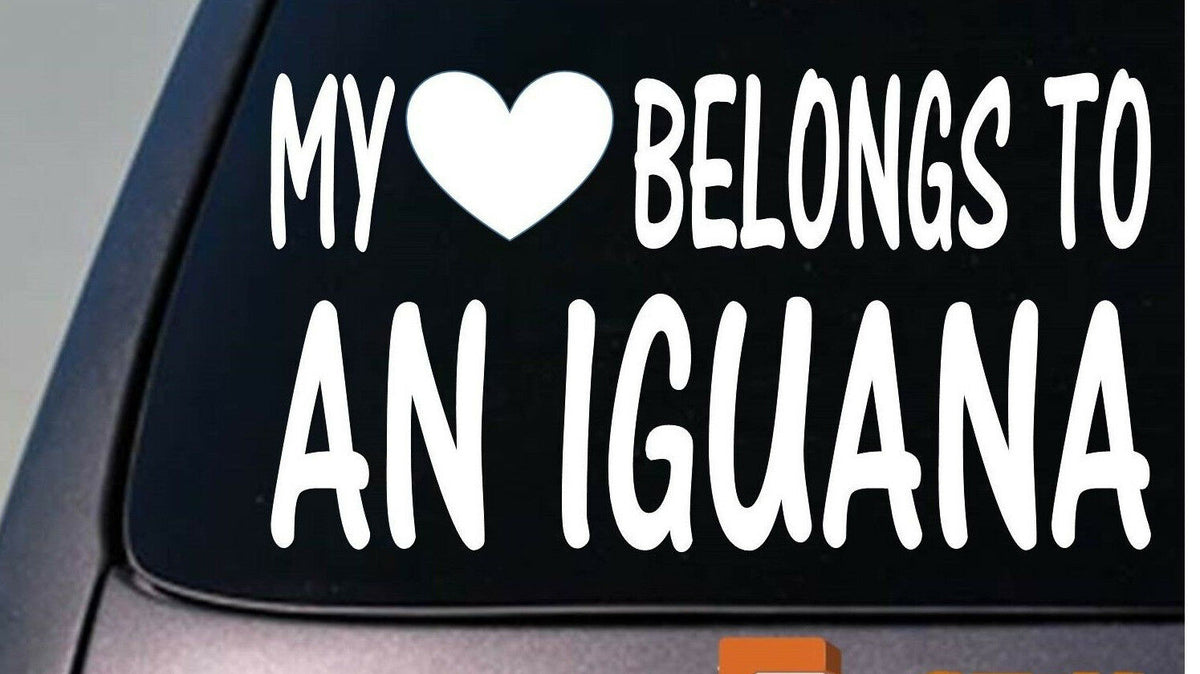My Heart Belongs to an Iguana Vinyl Decal