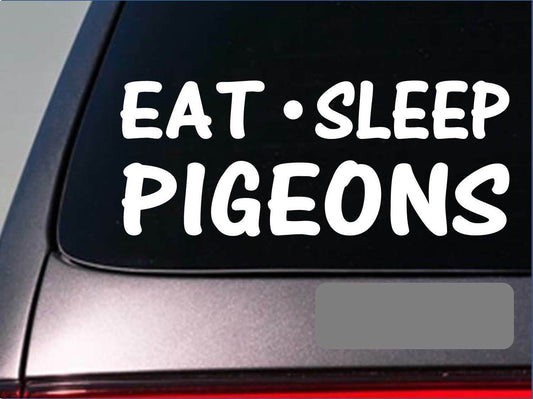 Eat Sleep Pigeons Vinyl Decal – 8 Inch
