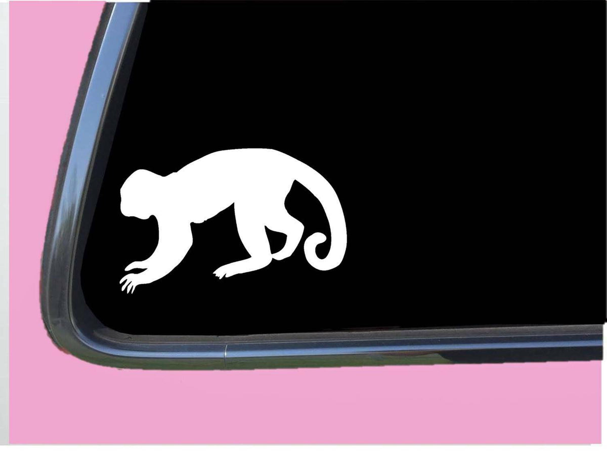 Capuchin Monkey Plain Vinyl Decal – 6 Inch