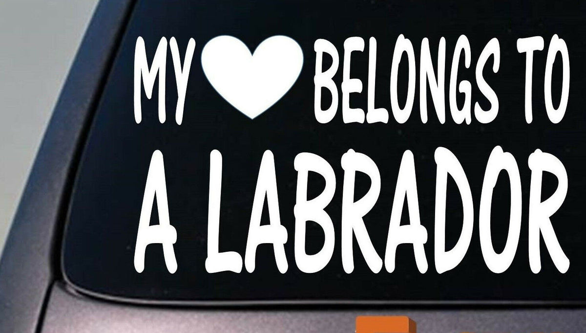 My Heart Belongs to a Labrador Vinyl Decal