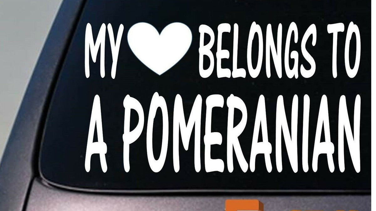 My Heart Belongs to a Pomeranian Vinyl Decal