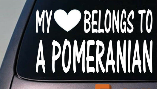 My Heart Belongs to a Pomeranian Vinyl Decal