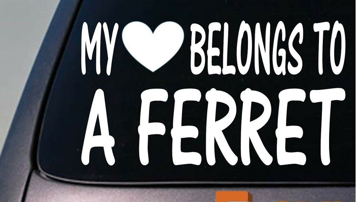 My Heart Belongs to a Ferret Vinyl Decal