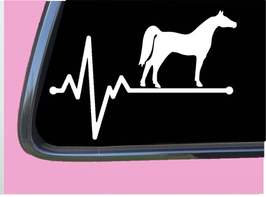 Arabian Horse Lifeline Vinyl Decal – 8 Inch