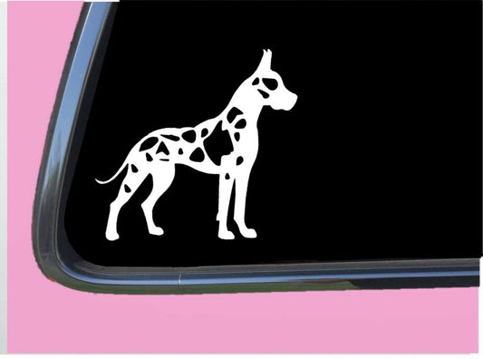 Harlequin Great Dane Cropped Vinyl Decal – 6 Inch