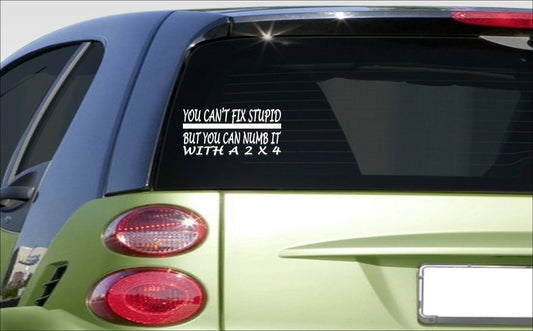 You Cant Fix Stupid Numb It 2X4 Vinyl Decal – 8 Inch