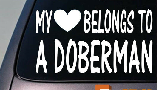 My Heart Belongs to a Doberman Vinyl Decal