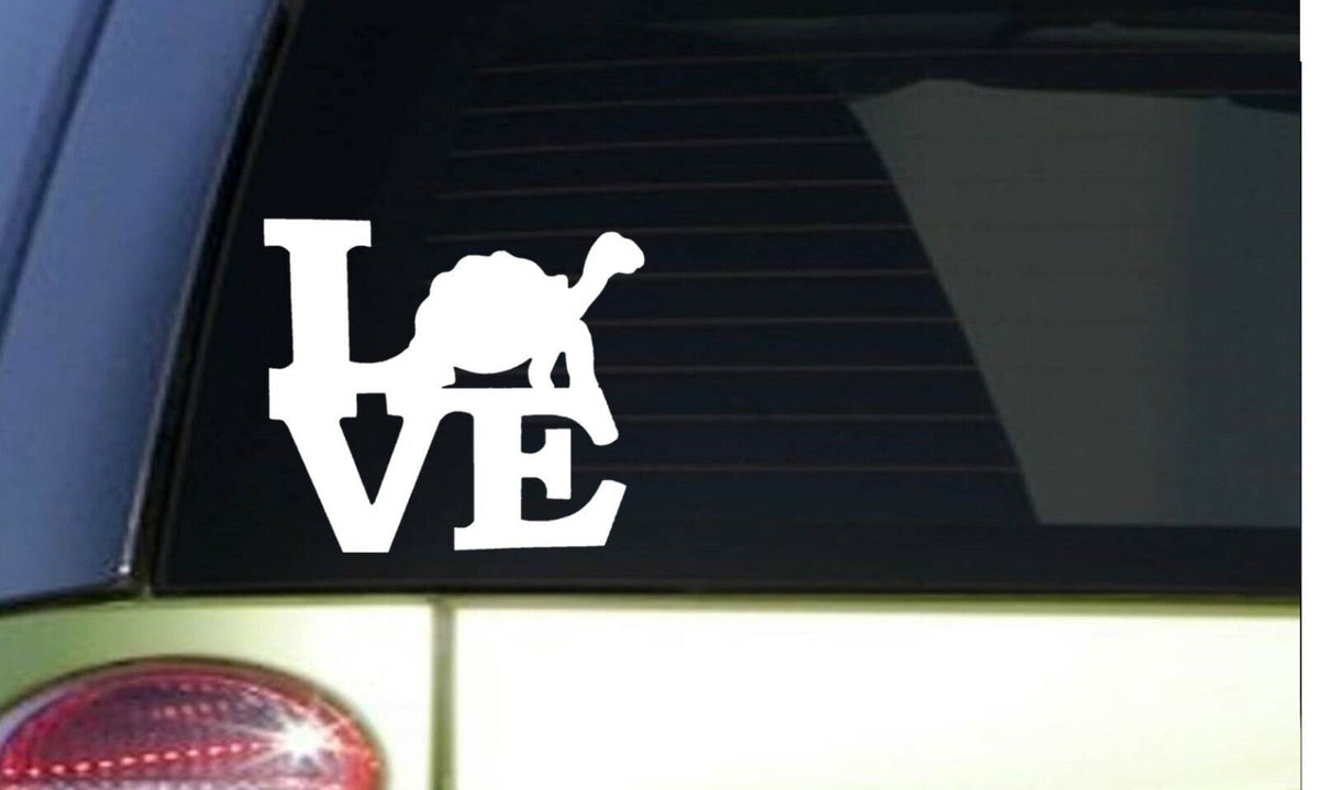 Tortoise Love Vinyl Decal – 6 Inch